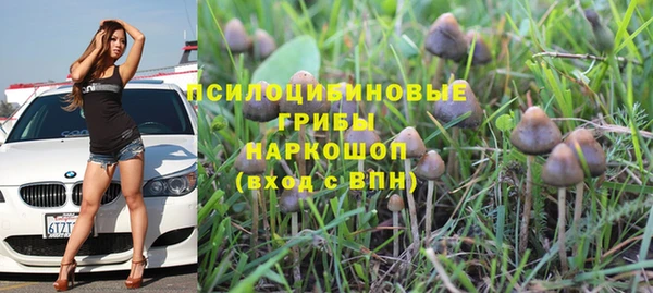 экстази Арсеньев