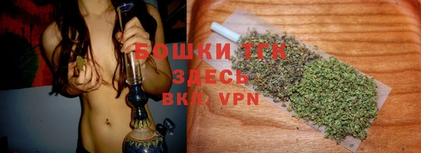 экстази Арсеньев