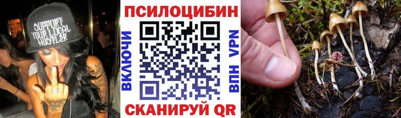 hydra как войти  закладка  Онега  Галлюциногенные грибы Cubensis 